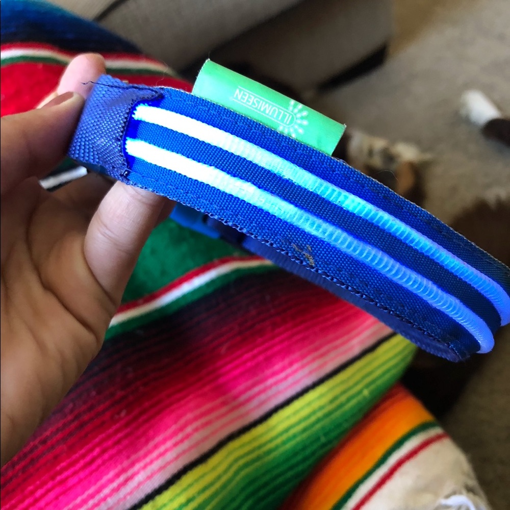 Light up dog collar blue